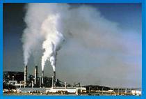 Environmental Toxins